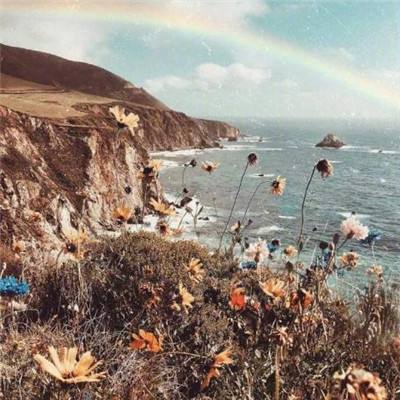 梦幻战歌gm版下载